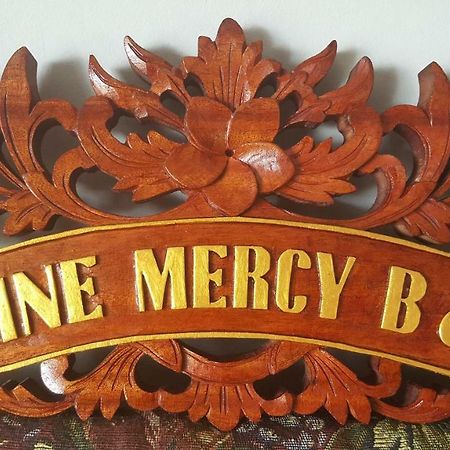 Divine Mercy B&B 诺克 外观 照片