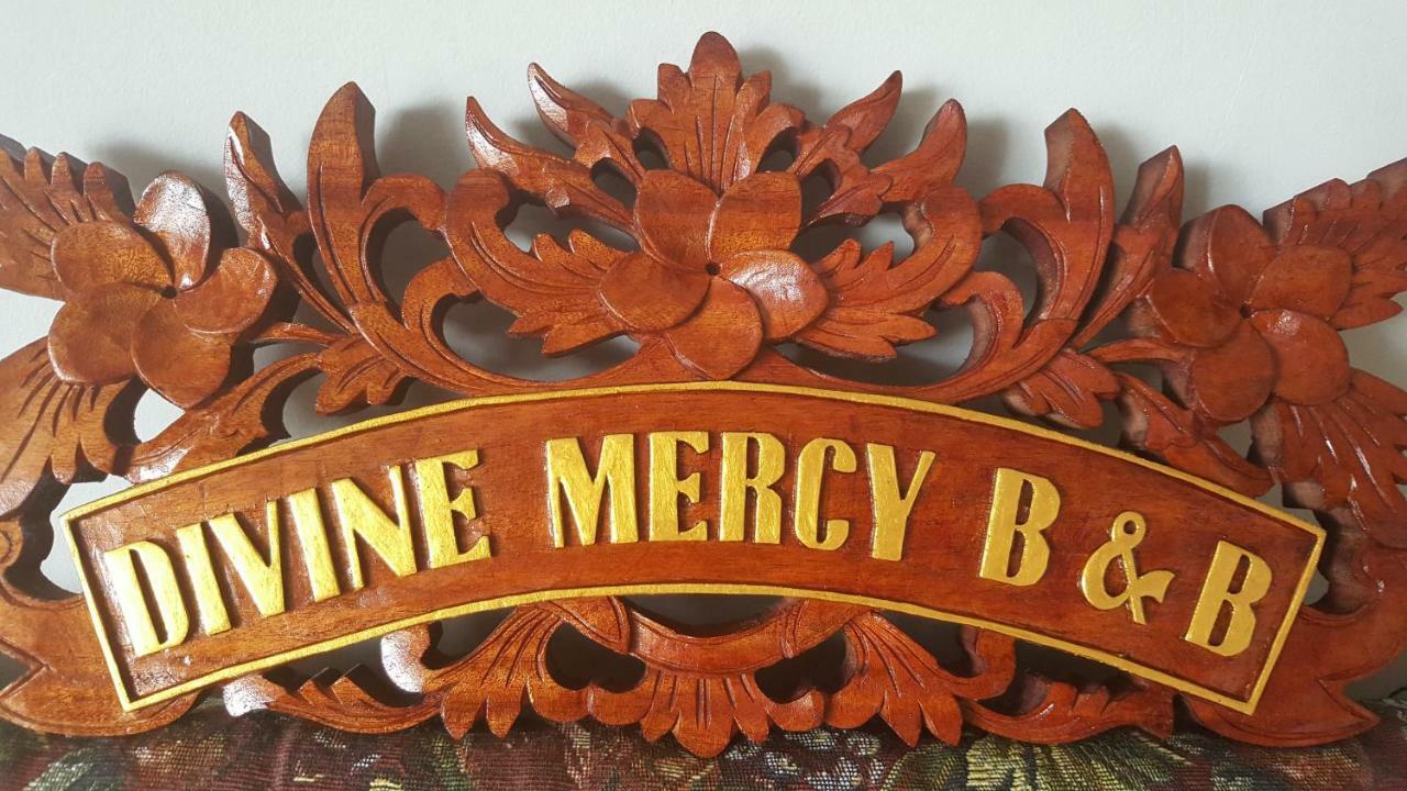 Divine Mercy B&B 诺克 外观 照片